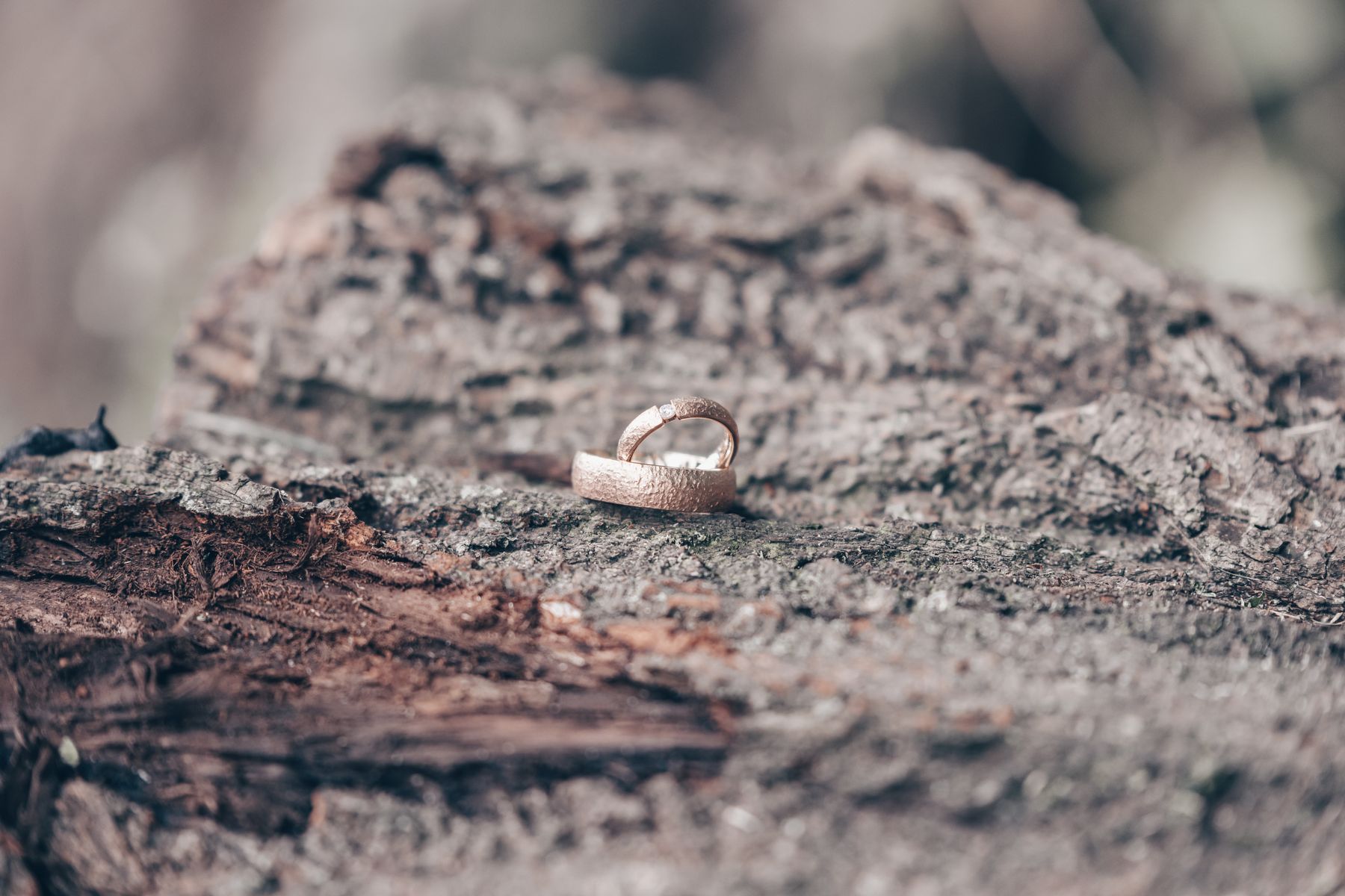 Hochzeitsfotograf Luzern: Preise & Pakete 2026 